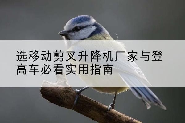 牟定电动升降机厂家-选移动剪叉升降机厂家与登高车必看实用指南