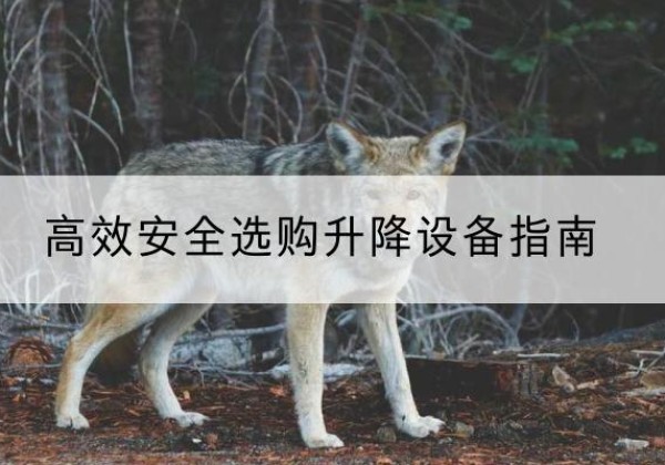 牟定升降货梯厂家推荐-*安全选购升降设备指南