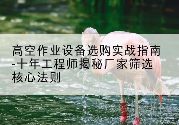 牟定剪叉式升降机厂家-高空作业设备选购实战指南-十年工程师揭秘厂家筛选核心法则